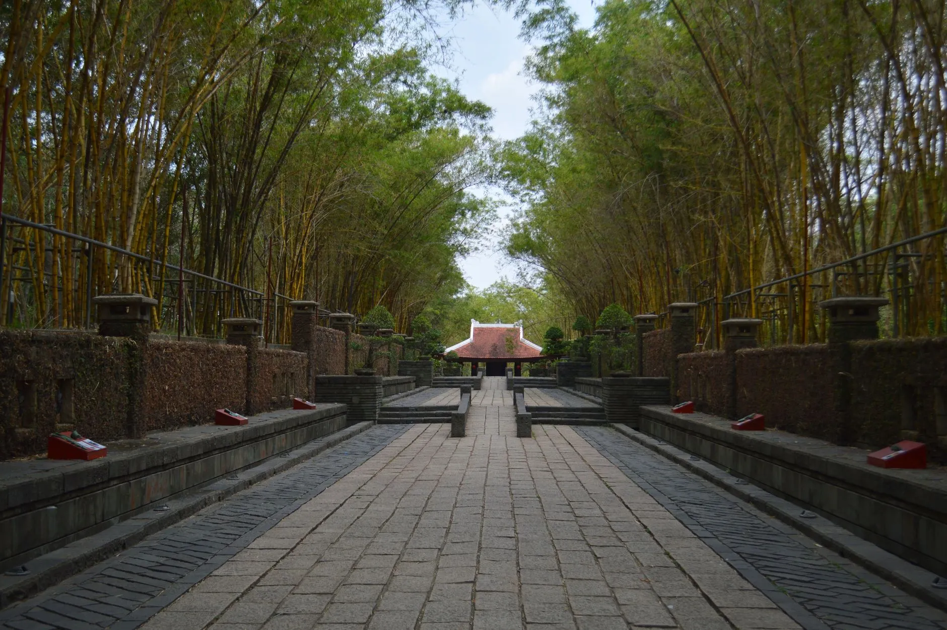 Bamboo-lined Path at Yunxi