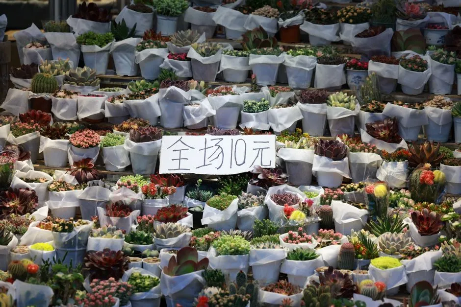 Zhan's Garden (Zhan Yuan)