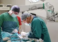 Neurology & Neurosurgery