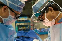Cardiology & Cardiothoracic Surgery