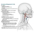 C1–C2 Posterior Pedicle/Screw Fixation and Fusion (Harms/Magerl)