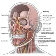 Adenoidectomy