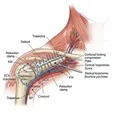 Open Reduction and Internal Fixation